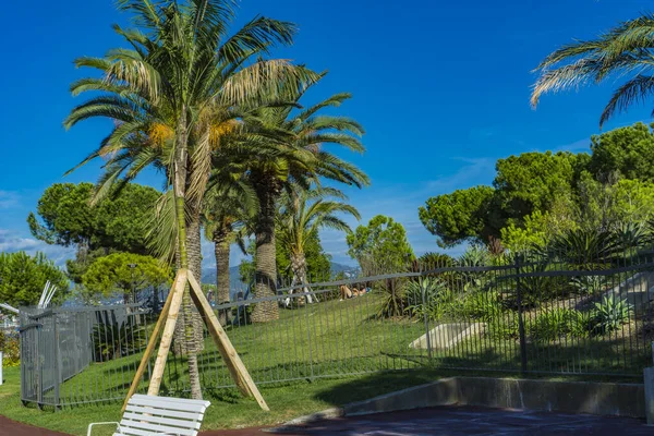 Nice Frankrike Oktober 2019 Promenade Des Anglais Nice Frankrike Denna — Stockfoto