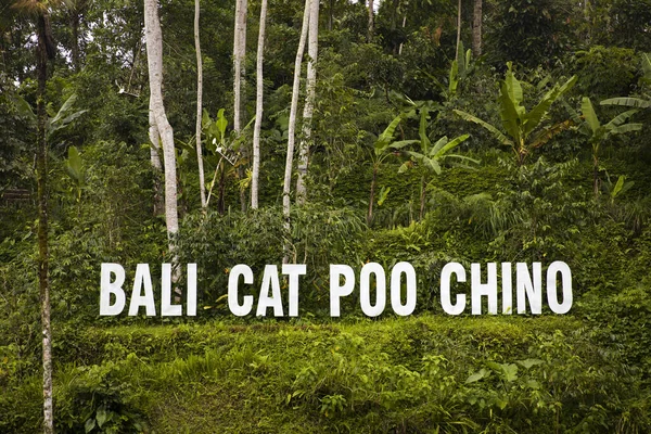 Blick Auf Das Zeichen Der Kaffeeplantage Kopi Luwak Cat Poo — Stockfoto