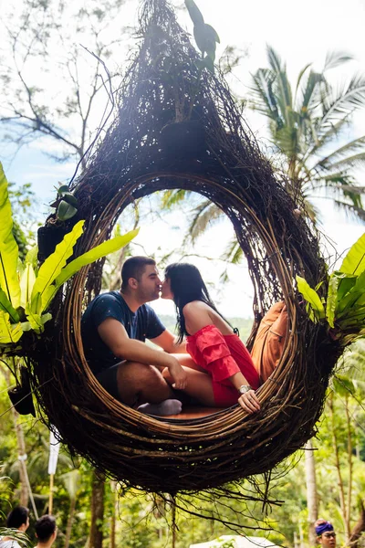 A tourist couple sitting on a large bird nest on a tree at Bali island, Indonesia