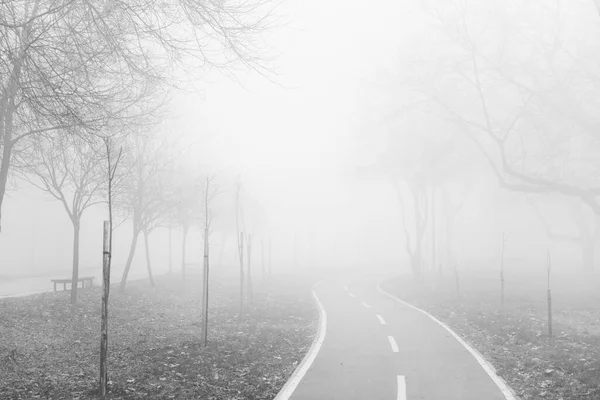 View at bike path in the foggy winter day