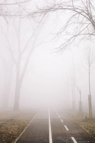 Blick Auf Radweg Nebligen Wintertag — Stockfoto