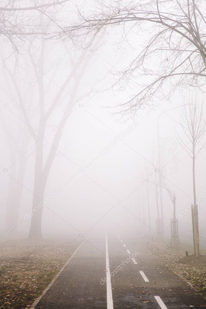 View at bike path in the foggy winter day