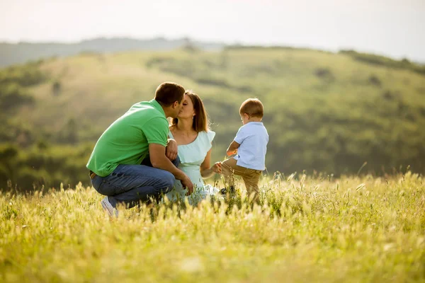 Young Family Having Fun Outdoors Summer Field — Stock Photo, Image