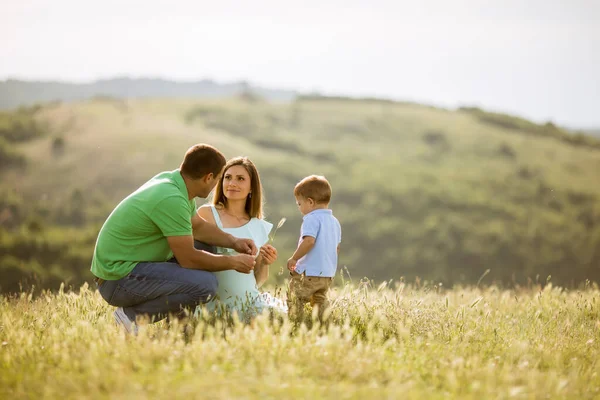 Genç Bir Aile Yaz Tarlasında Eğleniyor — Stok fotoğraf