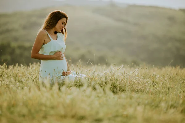 若いです妊娠中の女性で白いドレスで夏のフィールド — ストック写真