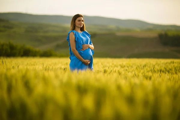 Young Pregnant Woman Blue Dress Summer Field — Stock Photo, Image