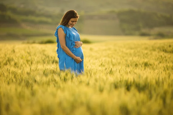 Jovem Mulher Grávida Vestido Azul Campo Verão — Fotografia de Stock