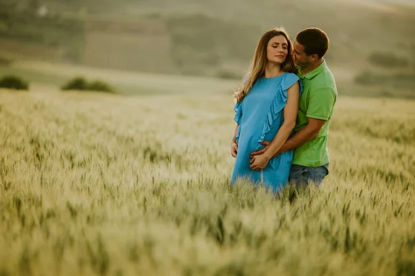 Genç Koca Hamile Karısı Güneşli Yaz Tarlasında — Stok fotoğraf
