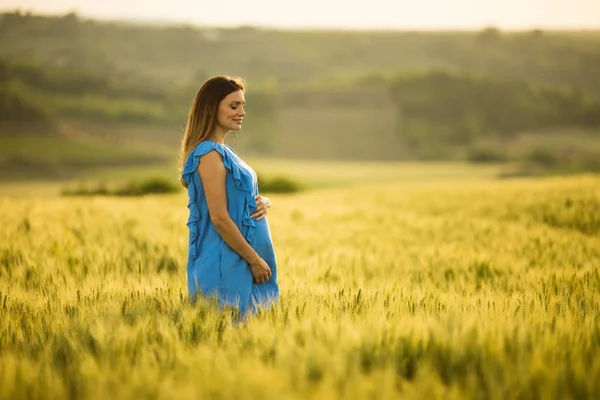 Jovem Mulher Grávida Vestido Azul Campo Verão — Fotografia de Stock