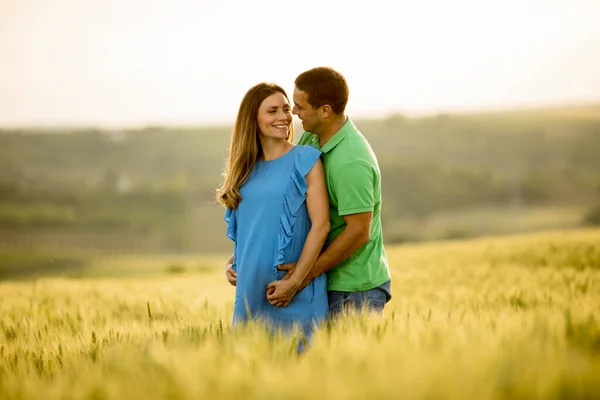 Jeune Mari Femme Enceinte Dans Champ Été Ensoleillé — Photo