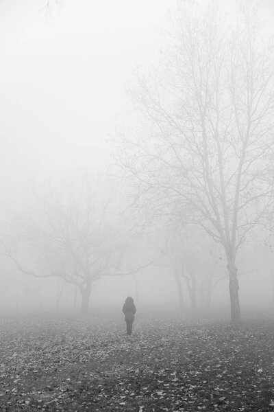 Вид на дерево в туманный зимний день
