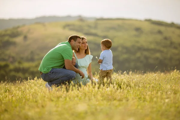 Young Family Having Fun Outdoors Summer Field — Stock Photo, Image