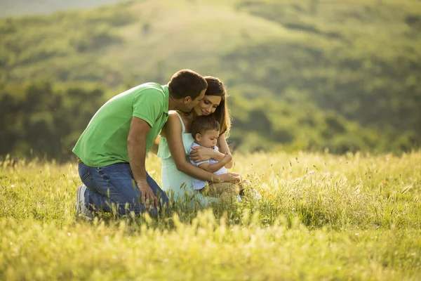 Genç Bir Aile Yaz Tarlasında Eğleniyor — Stok fotoğraf