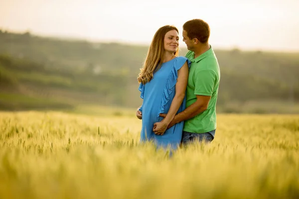 Νεαρός Σύζυγος Και Έγκυος Γυναίκα Του Στο Ηλιόλουστο Καλοκαιρινό Χωράφι — Φωτογραφία Αρχείου