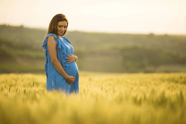 Jeune Femme Enceinte Robe Bleue Dans Champ Été — Photo