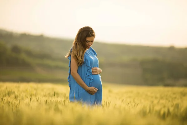 Jeune Femme Enceinte Robe Bleue Dans Champ Été — Photo