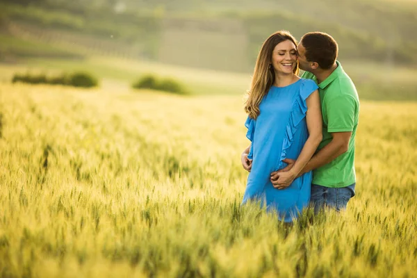 晴れた夏のフィールドで若い夫と彼の妊娠中の妻 — ストック写真