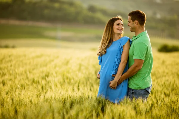 晴れた夏のフィールドで若い夫と彼の妊娠中の妻 — ストック写真