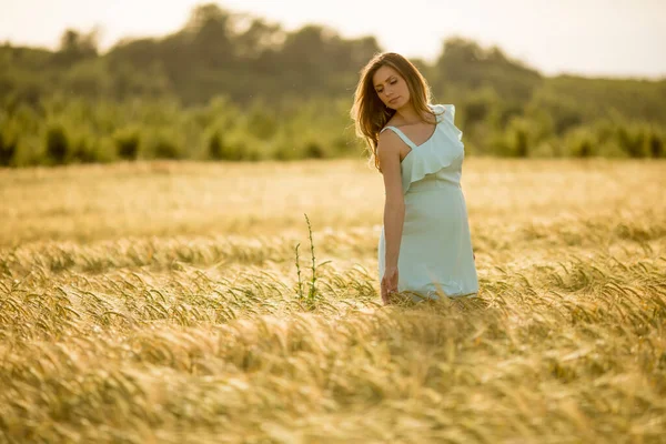 Giovane Donna Incinta Abito Blu Nel Campo Estivo — Foto Stock