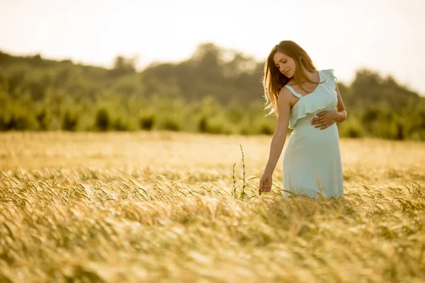 Junge Schwangere Frau Blauem Kleid Sommerfeld — Stockfoto