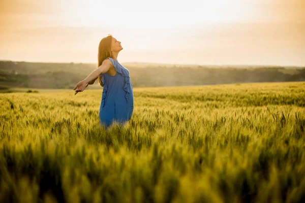 Junge Schwangere Frau Blauem Kleid Sommerfeld — Stockfoto