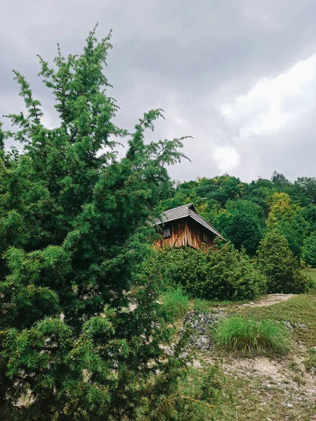 Старый Традиционный Дом Деревне Сосотница Горе Ядовник Сербии — стоковое фото
