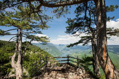 View at Perucac lake and river Drina from Tara mountain in Serbia clipart