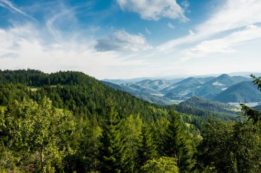 Sırbistan 'daki Tara dağından Zaovine Gölü' ne uzak hava manzarası