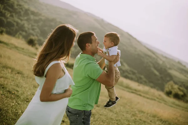 Genç Bir Aile Yaz Tarlasında Eğleniyor — Stok fotoğraf