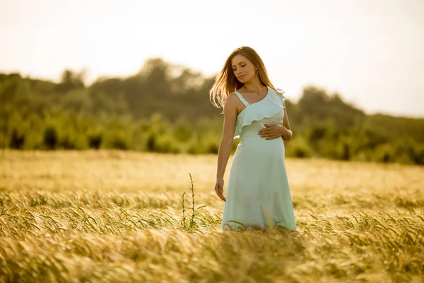 Jovem Mulher Grávida Vestido Azul Campo Verão — Fotografia de Stock