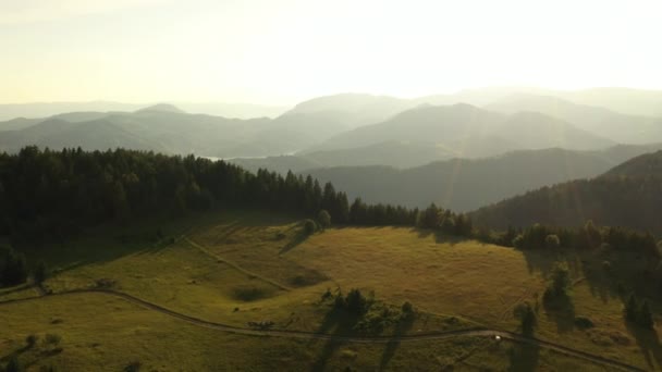 Θέα Στη Λίμνη Zaovine Από Βουνό Tara Στη Σερβία — Αρχείο Βίντεο