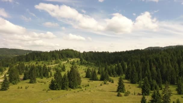 Vue aérienne à la forêt de montagne un jour d'été