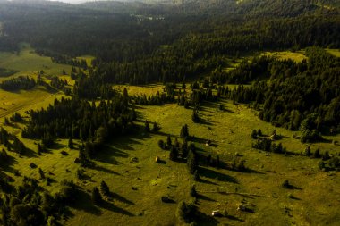 Sırbistan 'ın Tara dağ ormanlarında yaz günü hava manzarası