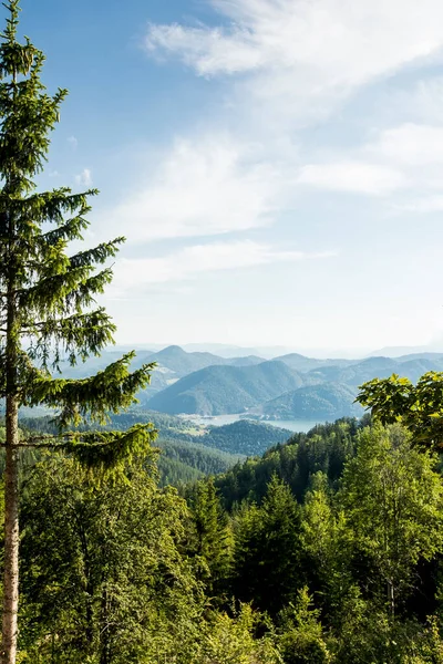 Vzdálený Letecký Pohled Jezero Zaovine Hory Tara Srbsku — Stock fotografie