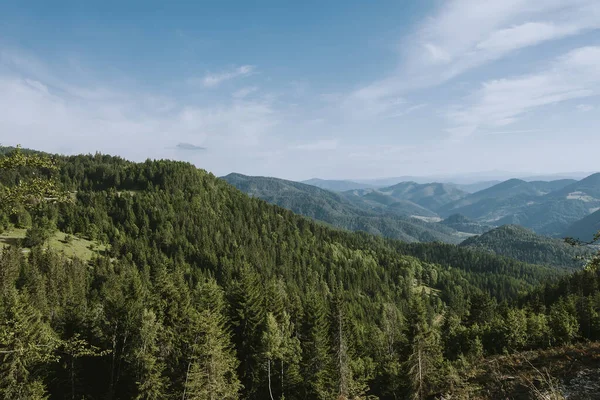 Uitzicht Vanuit Lucht Het Bergwoud Een Zomerdag — Stockfoto