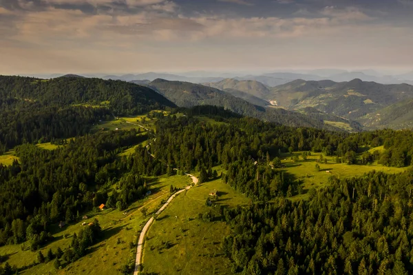 Letecký Pohled Horský Les Letní Den — Stock fotografie