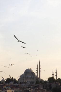 Günbatımında Türkiye 'nin İstanbul kentindeki Süleyman Camii' nde Boğaz manzarası