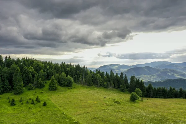 Vista Aérea Floresta Montanha Dia Verão — Fotografia de Stock