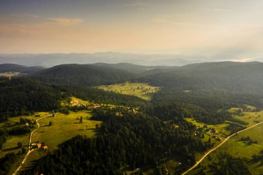 Bir yaz günü dağ ormanının havadan görünüşü