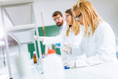 Laboratuvarda kimyasal verileri analiz eden genç araştırmacılar.