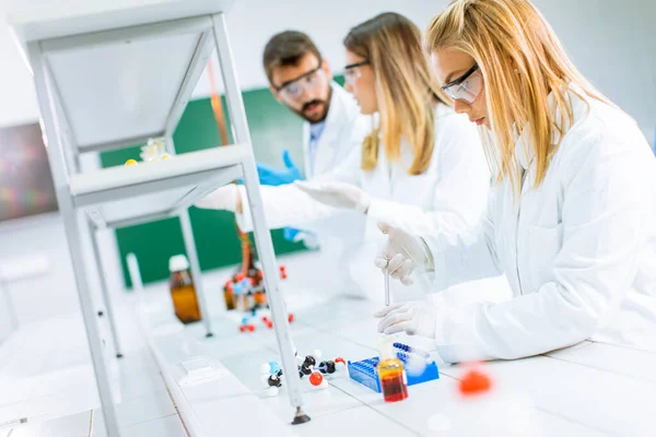 Jonge Onderzoekers Die Chemische Gegevens Het Laboratorium Analyseren — Stockfoto