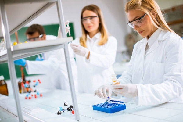 Young researchers analyzing chemical data in the laboratory