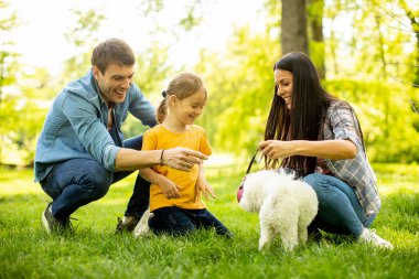 Güzel, mutlu bir aile parkta bizon köpeğiyle eğleniyor.