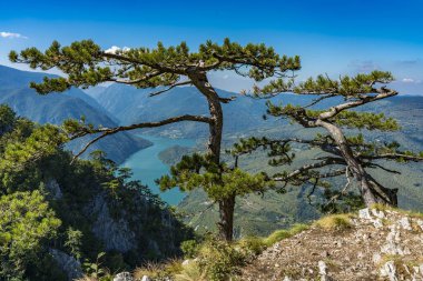Sırbistan 'daki Tara dağından Perucac Gölü ve Drina Nehri manzarası