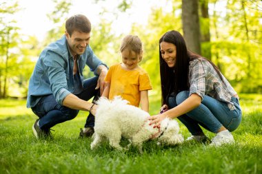 Güzel, mutlu bir aile parkta bizon köpeğiyle eğleniyor.