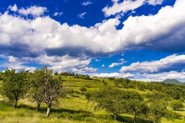 Sırbistan 'daki Tuna Nehri kıyısındaki Greben tepesine bak