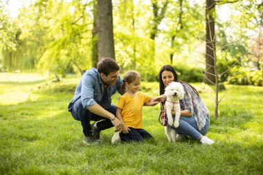 Güzel, mutlu bir aile parkta bizon köpeğiyle eğleniyor.