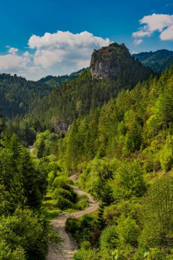 Sırbistan 'daki Tara Dağı' nın Ravna stena (Düz Kayalık) üzerindeki uzaklık görünümü