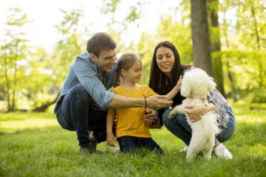 Güzel, mutlu bir aile parkta bizon köpeğiyle eğleniyor.