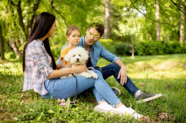 Güzel, mutlu bir aile parkta bizon köpeğiyle eğleniyor.